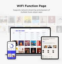 ЦАП, усилитель для наушников HiFiMAN Serenade Wireless
