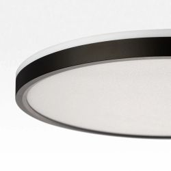 Citilux NORMA CL749321 LED RGB Светильник с пультом Чёрный