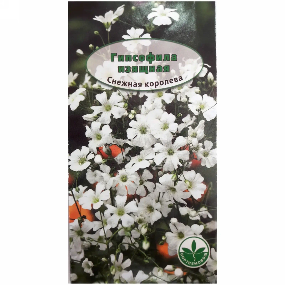 Семена Гипсофила Снежная королева 45см 0,3гр