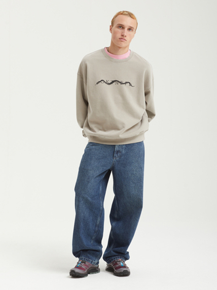 Мужская Толстовка Snake