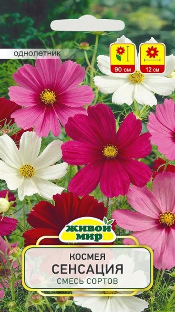 Kocмeя &quot;ЖМ. Сeнcaция&quot; 2г., Польша.