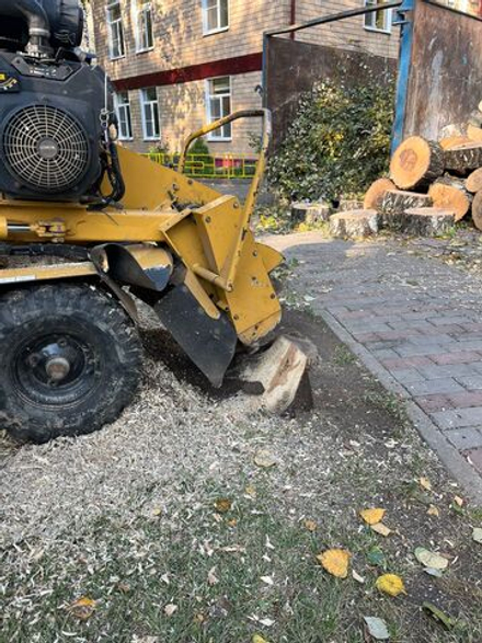 Удаление пней