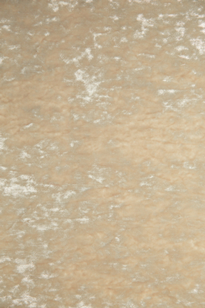 Ткань Daylight Nevio Sepino