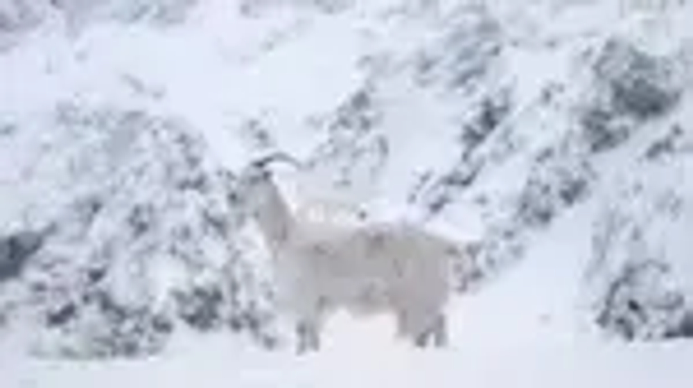 Вода негазированная Evian Спорт, 0,75 л