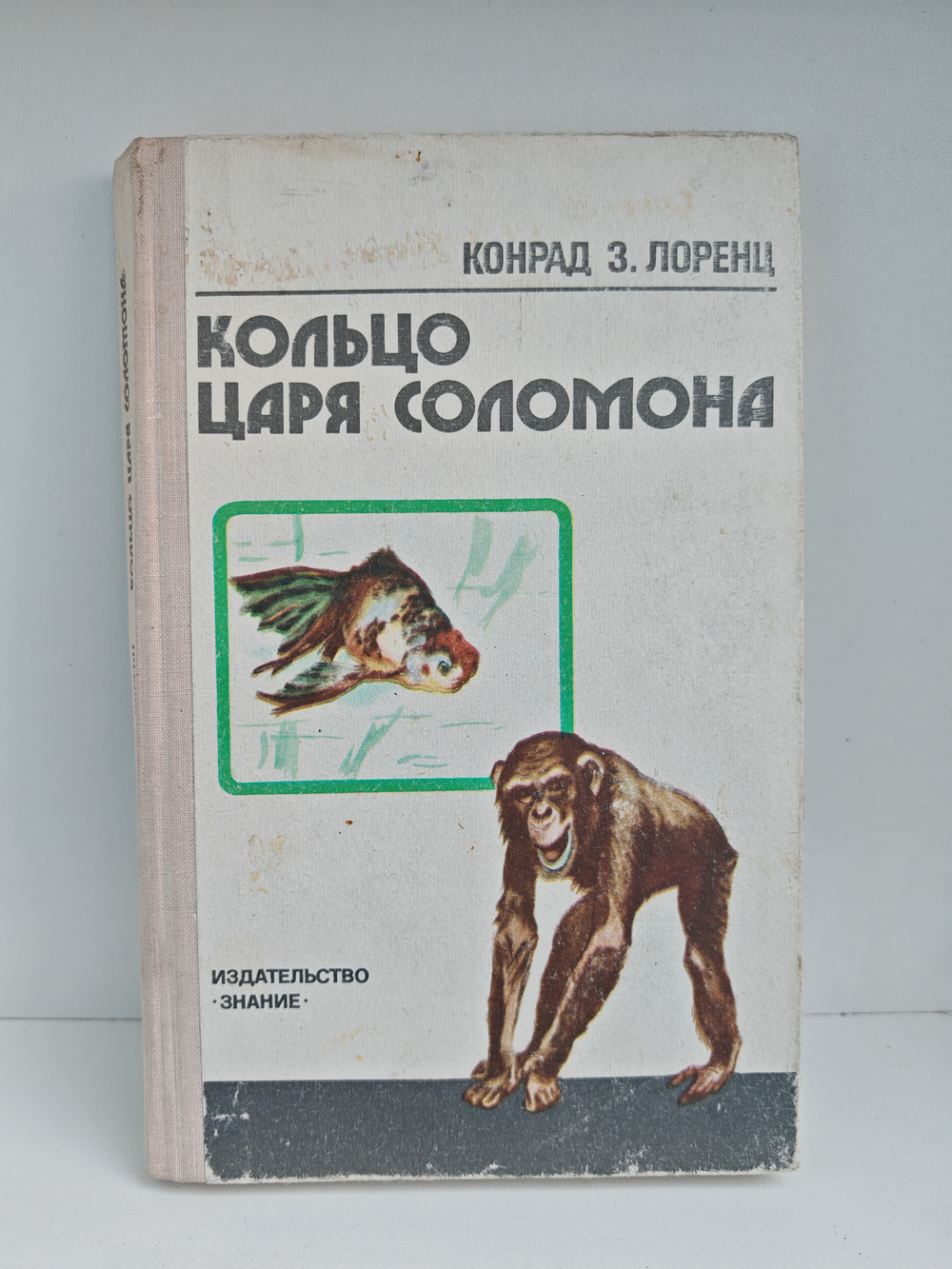 Кольцо царя Соломона