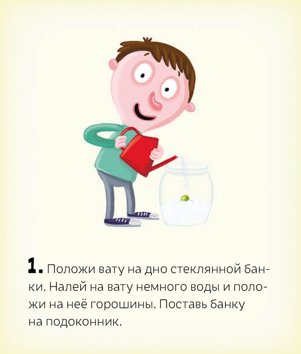 Сад круглый год