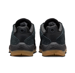 Кроссовки Nike SB Vertebrae 'Black Gum' FD4691-001