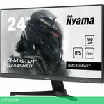 Игровой монитор Iiyama G-Master Black Hawk G2445HSU-B2