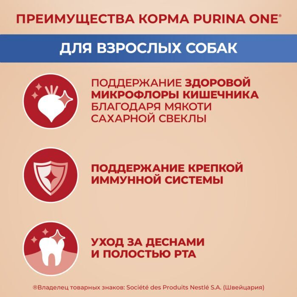 Сухой корм Purina ONE МИНИ для взрослых собак мелких и карликовых пород, с говядиной и рисом, 3 кг