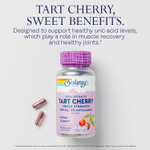 Solaray, Vital Extracts, вишня, 90 растительных капсул (340 мг в 1 капсуле)