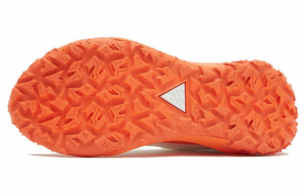 Кроссовки Nike Acg Mountain Fly Low 2