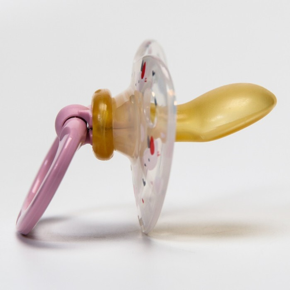 7454810 Соска-пустышка ортодонтическая, латекс, от 6 мес., в контейнере «Птички»