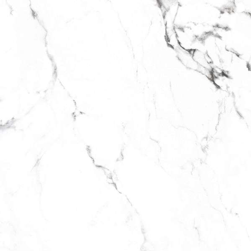 BORGHINI SILVER CR4006-A