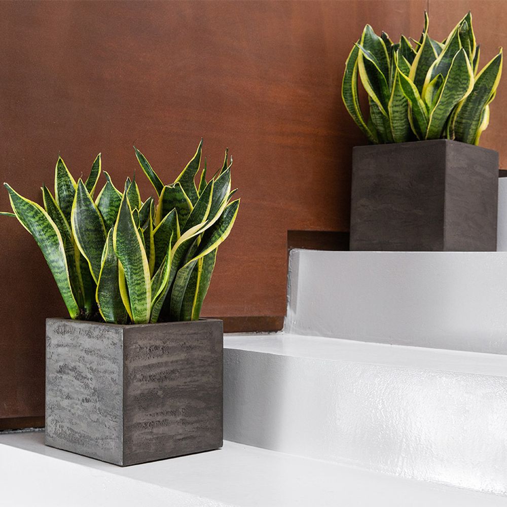 Кашпо VASE3 BREZENT GREY D60 H65