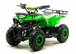 Электроквадроцикл Motoland ATV E008 800Вт