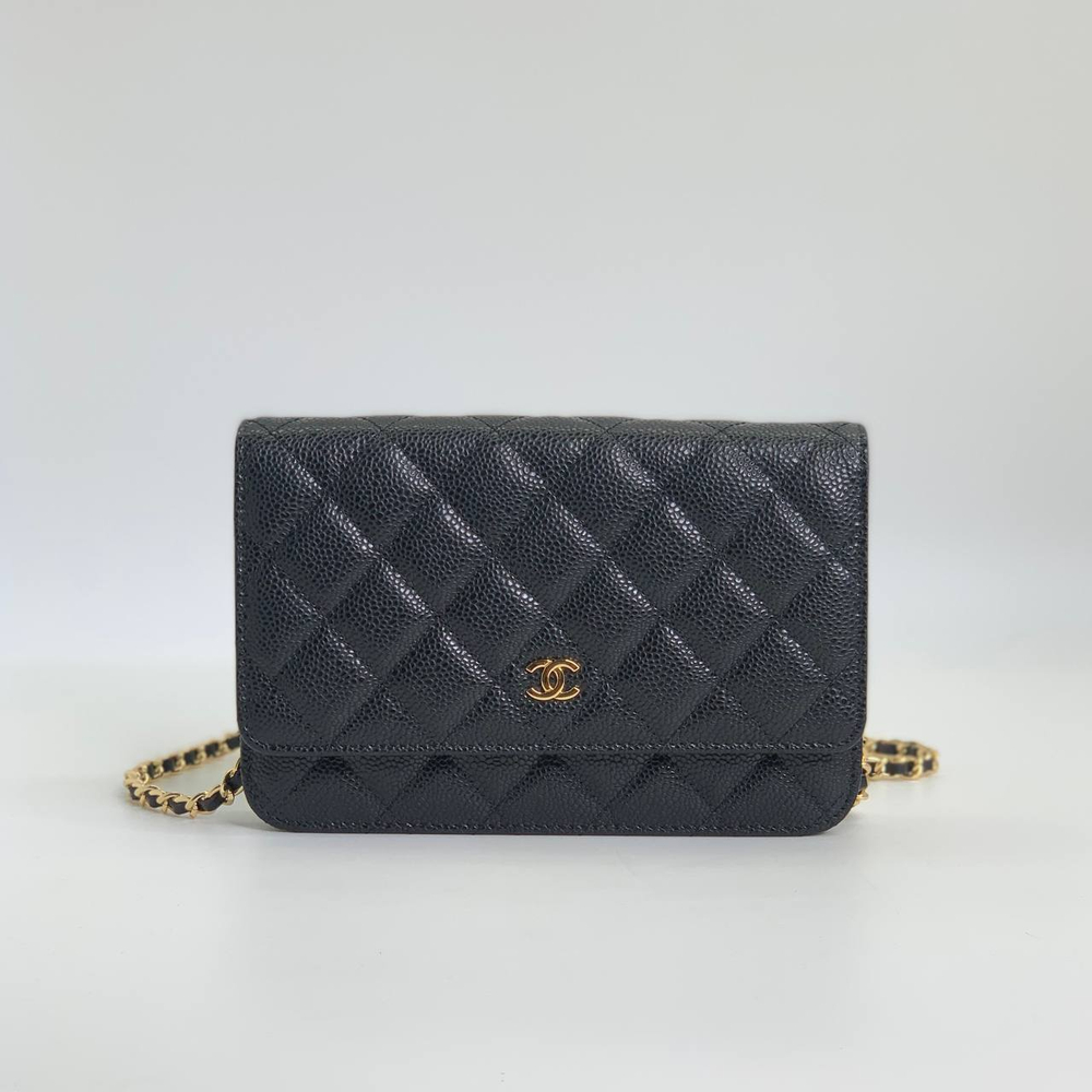 Сумка CHANEL 19 см