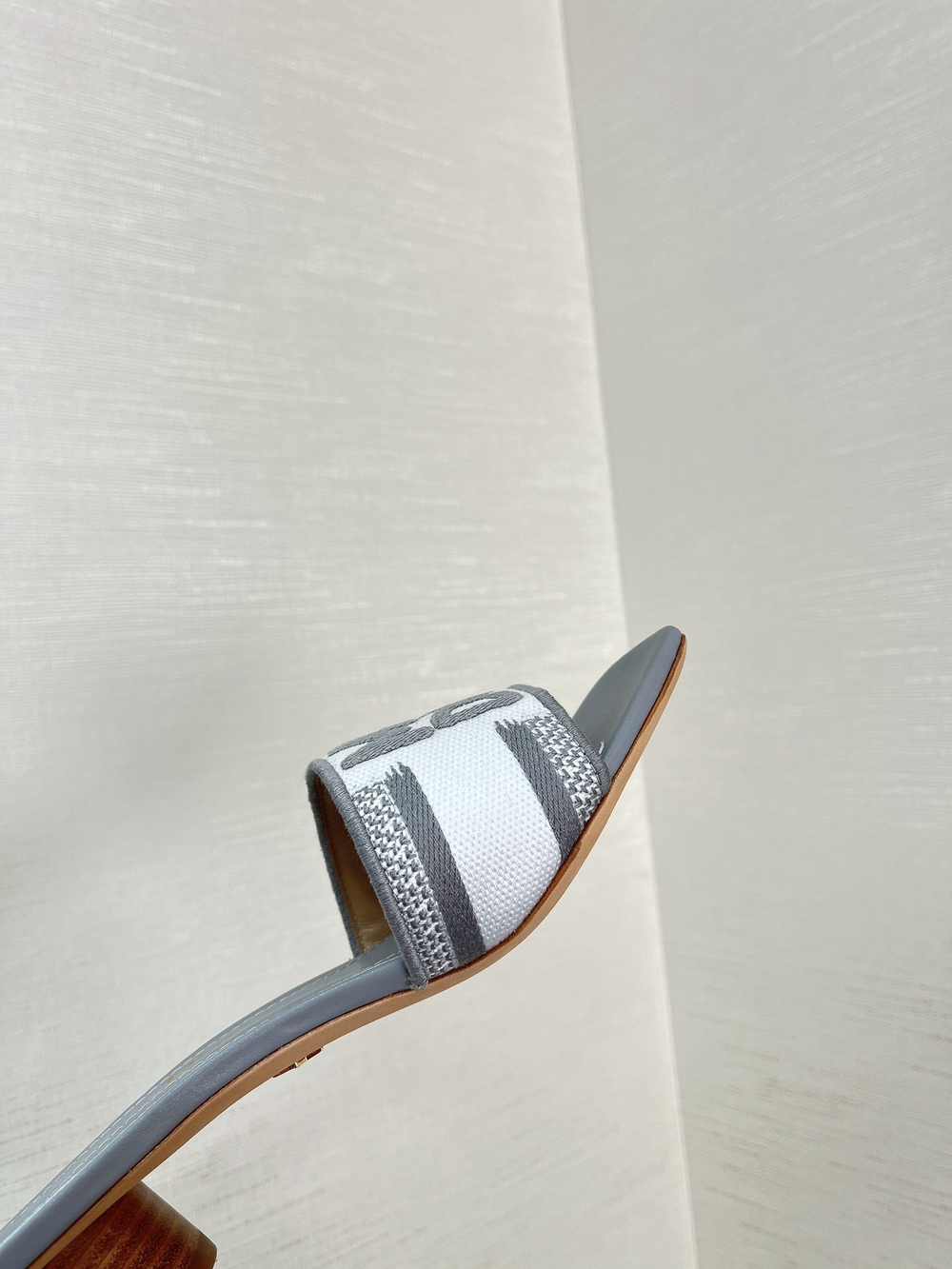 Christian Dior Dway Slide (11 colors)