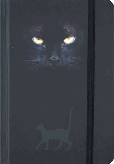 Дневник для записей "Глаза Кошки". Мини формат