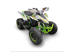 Квадроцикл YACOTA Typhoon 250