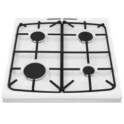 Газовая плита Hansa FCGW52053