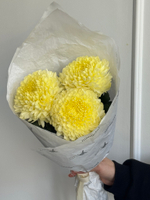 Кулек из одноголовых хризантем лимонного оттенка