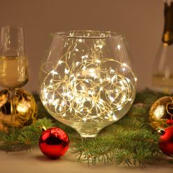 ENIN -10NW ЭРА Гирлянда LED Нить 10 м теплый свет 220V