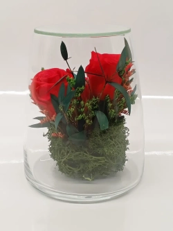 натуральные кустовые пионы в стекле, вакуум*