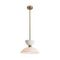 Подвесной светильник Freya Essence FR5490CL-01BS