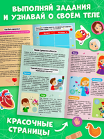 Наклейки "Секреты тела человека", 16 стр.