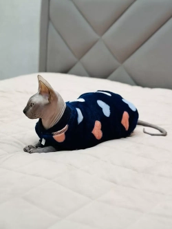 Одежда свитер для сфинксов кошек