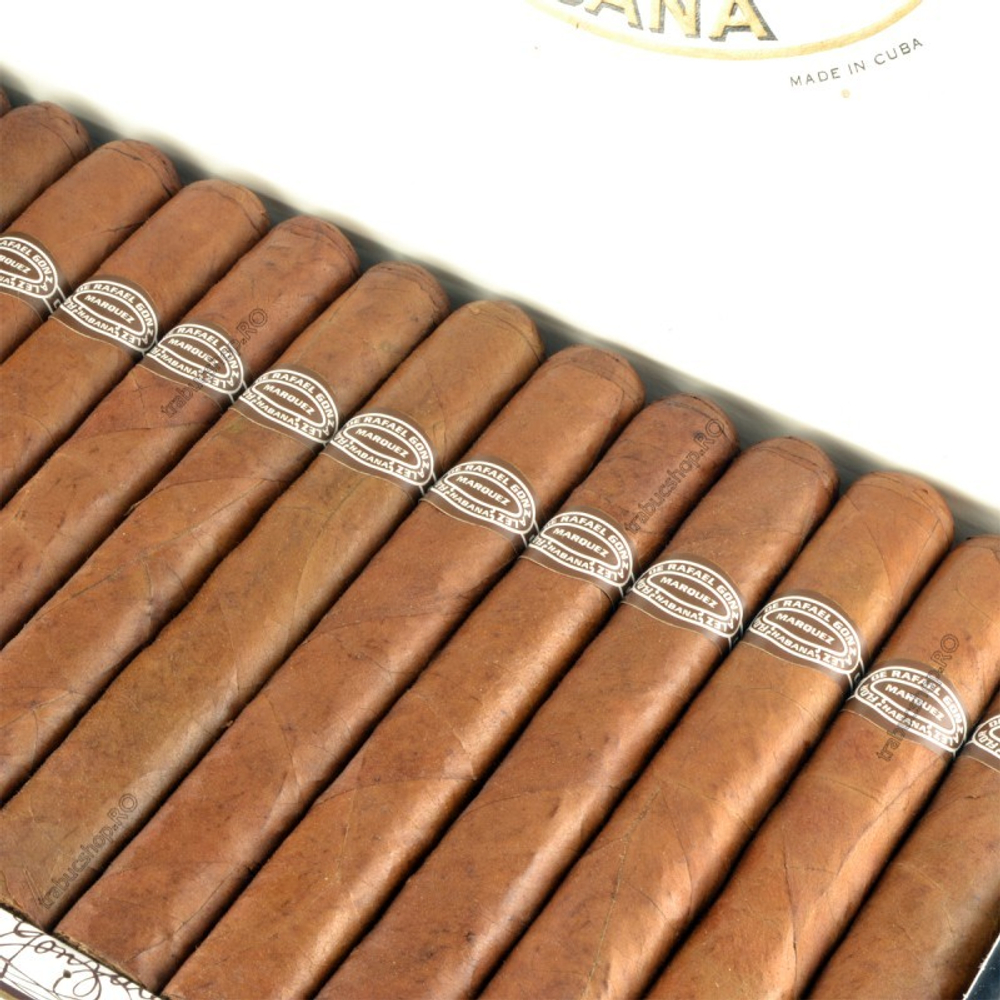 Rafael Gonzales Petit Coronas