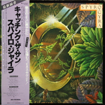Spyro Gyra / Catching The Sun (LP)