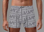 Мужские трусы-боксеры с принтом-рогожкой (Размер: L) (Цвет: серый)