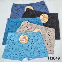 Боксер МАЛЬЧИК Н3049