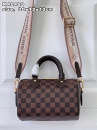 Louis Vuitton Speedy 20