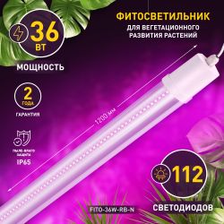 Светильник для растений, фитолампа светодиодная линейная ЭРА FITO-36W-RB-N красно-синего спектра 36 Вт | Линейные фито светильники