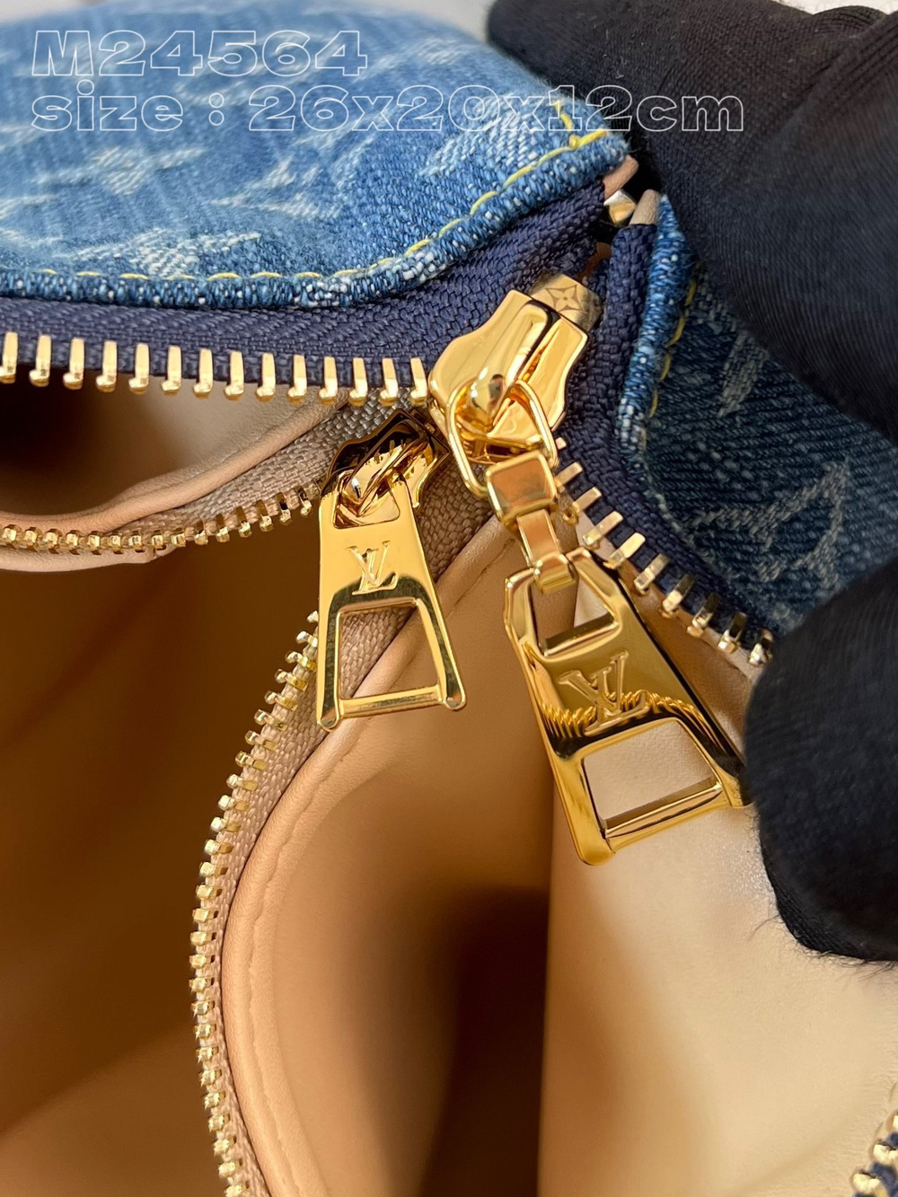 Louis Vuitton Coussin PM