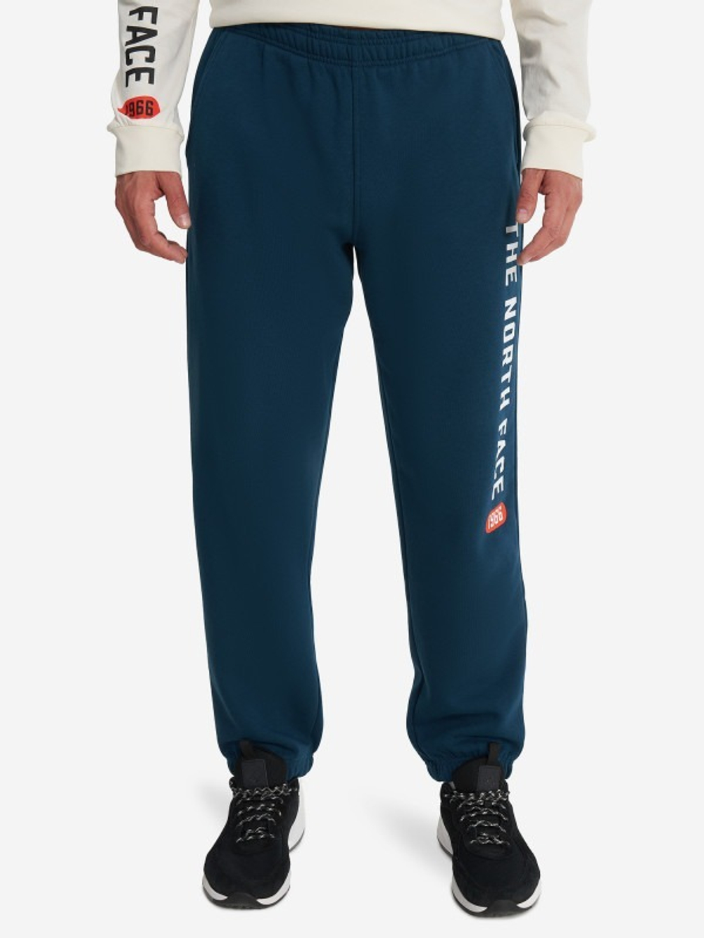Брюки спортивные мужские THE NORTH FACE M PANT VARSITY GRAPHIC