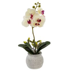 GAEM Цветочная композиция "Орхидея", L18 W15 H34 см