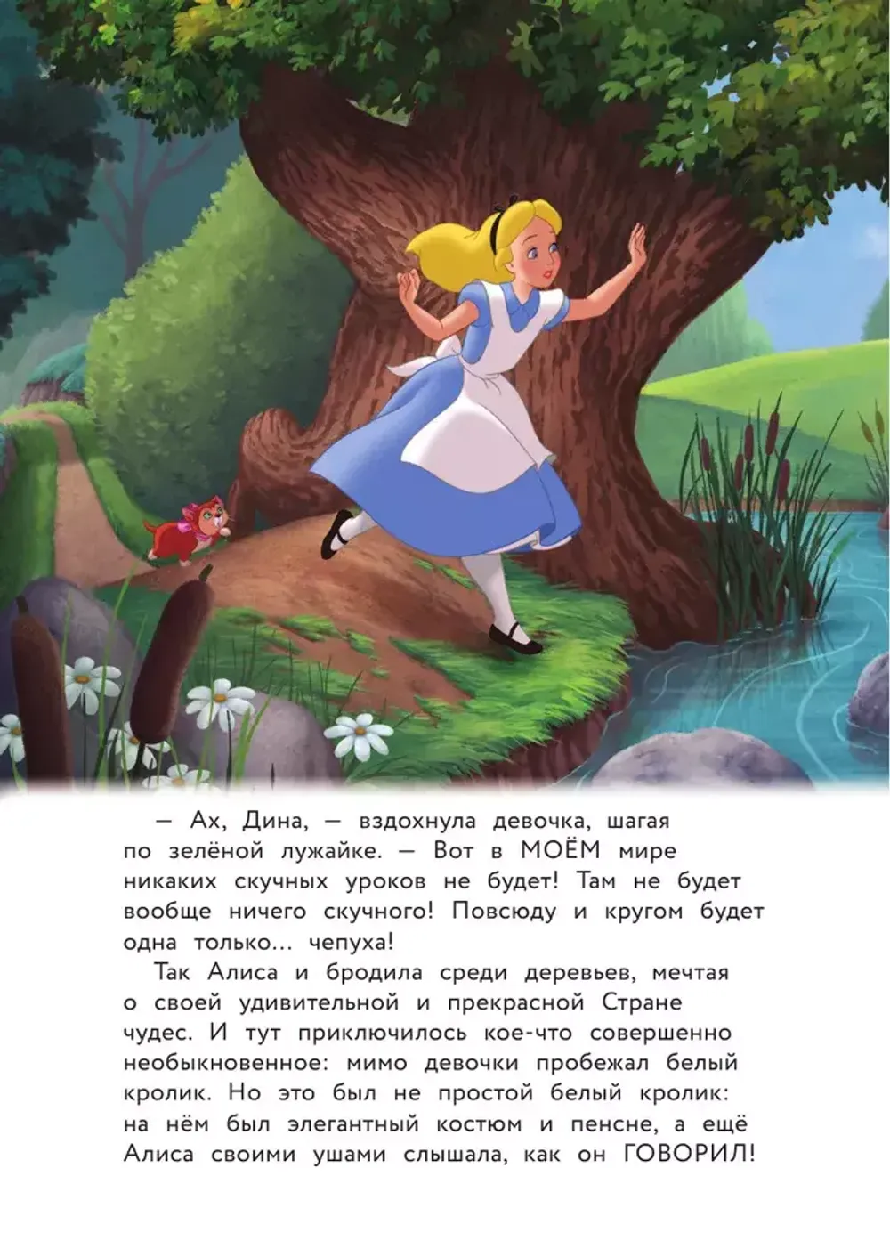 Книга Алиса в стране чудес. Удивительное путешествие
