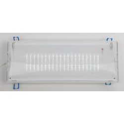 Аварийный светильник светодиодный ЭРА DPA-301-0-65 непостоянный 40LED 3ч IP65 | Светильники аварийные