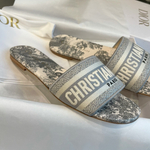 Christian Dior Dway Slide