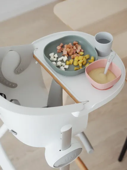 Набор посуды Beaba Coffrey Repas Silicone Euctalyptus