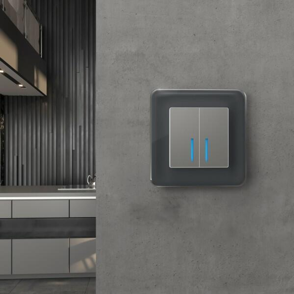 Рамка на 1 пост Elite (графит, стекло)