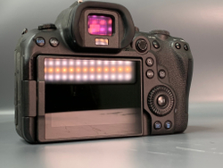 Canon EOS R6(Пробег: 26.000)