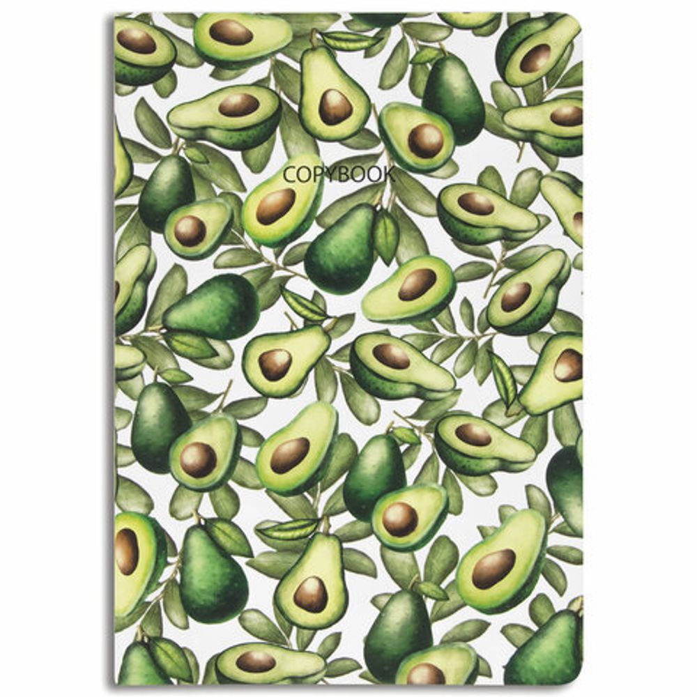 Тетради 40 л. в линию обложка SoftTouch, НАБОР 3 шт., бежевая бумага 70 г/м2, сшивка, А5 (147х210 мм), FLORA, BRAUBERG, 403798