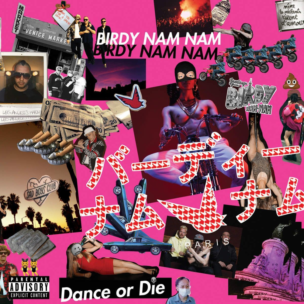 Birdy Nam Nam Dance Or Die