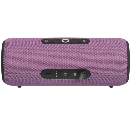 Умная портативная колонка Яндекс Станция Стрит с Алисой, фиолетовый