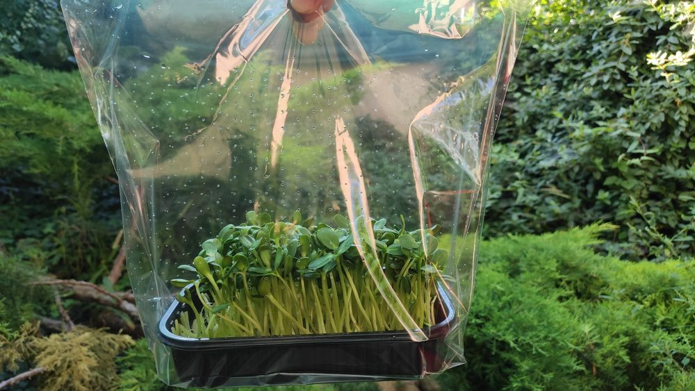 Перфорированный пакет 290*300