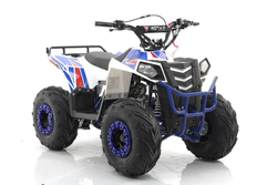 Квадроцикл MOTAX Grizlik A110